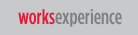 Works Experience